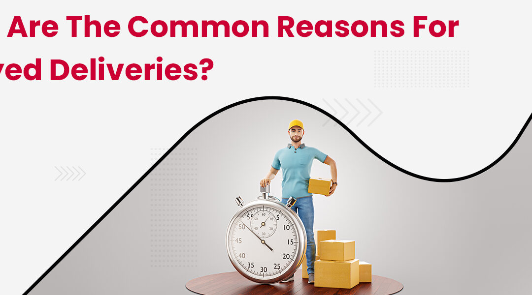 What are the Common Reasons for Delayed Deliveries?