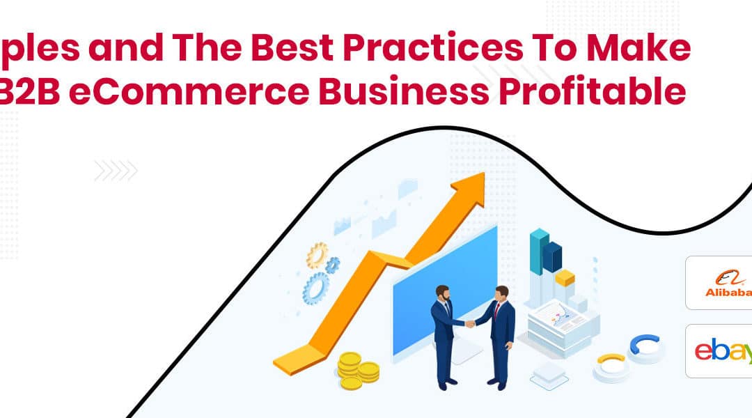 B2B ECommerce: Examples and The Best Practices To Make Your Business Profitable