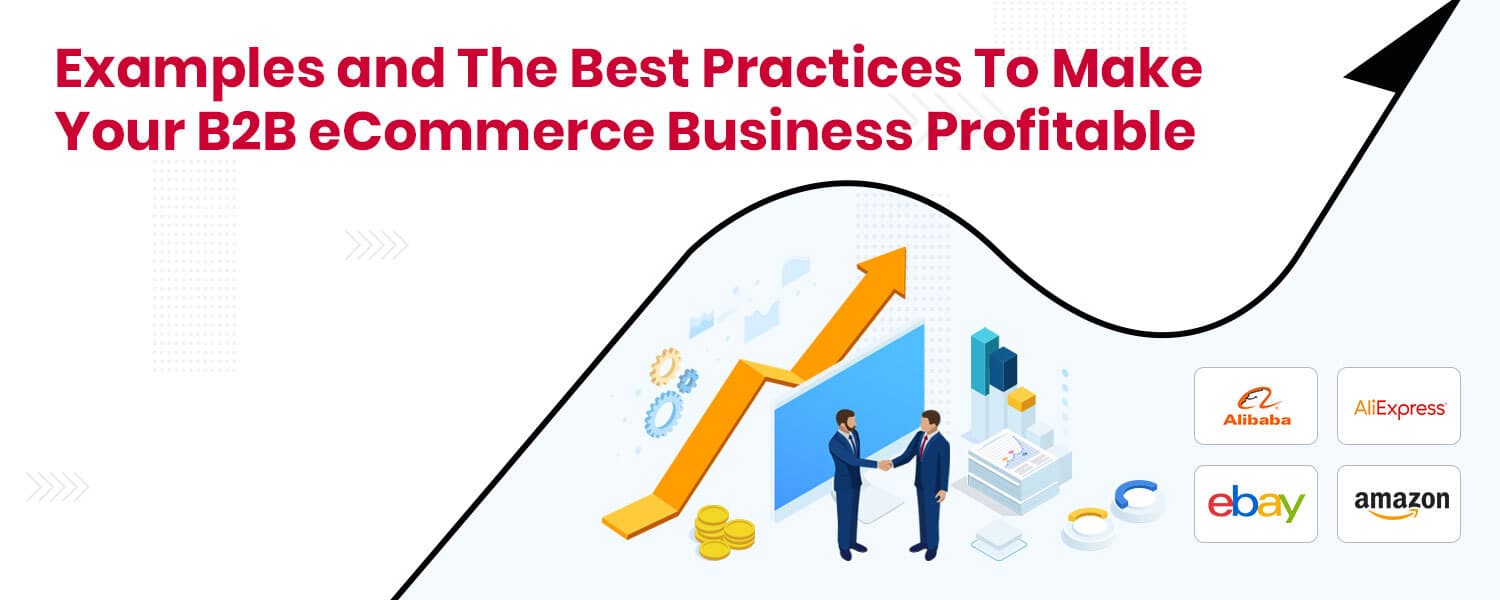 Examples and The Best Practices To Make Your B2B eCommerce Business Profitable