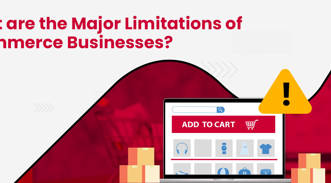eCommerce Limitations – 11 Limitations of eBusinesses