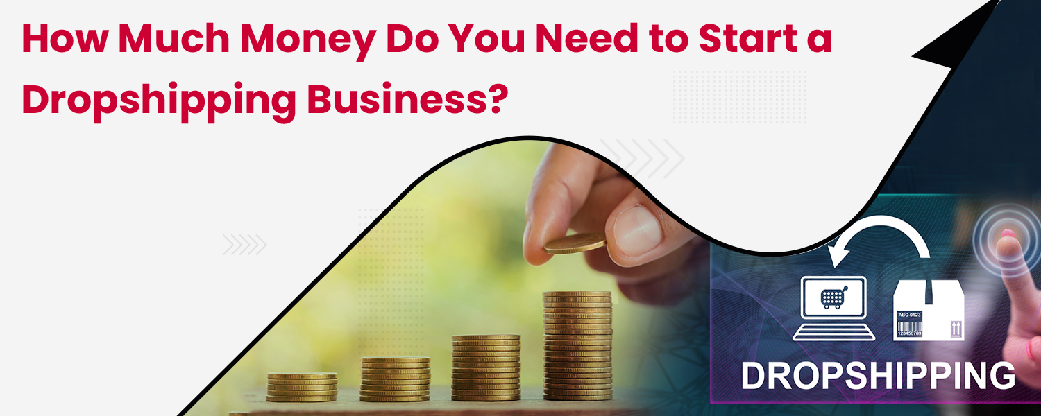 How Much Money Do You Need to Start a Dropshipping Business