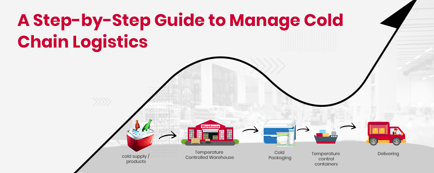 A Step-by-Step Guide to Manage Cold Chain Logistics