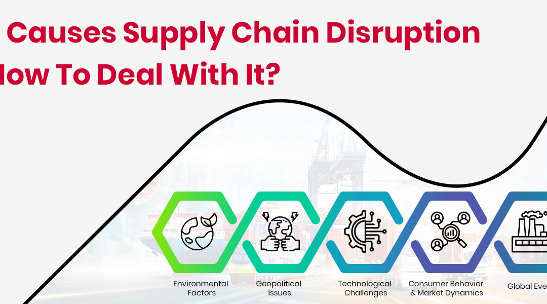 Supply Chain Disruption: What’s Causing It and How to Deal with It?