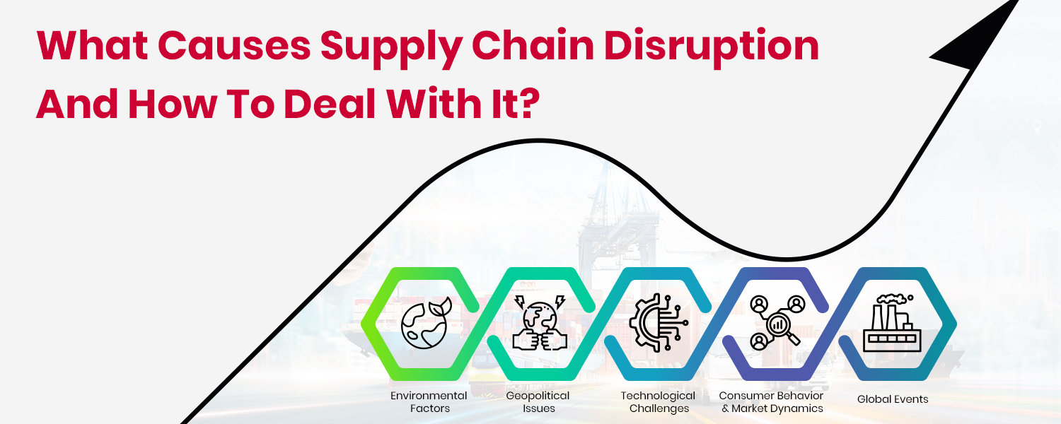 Supply Chain Disruption: What’s Causing It and How to Deal with It?